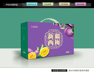 西梅礼盒 梅子包装