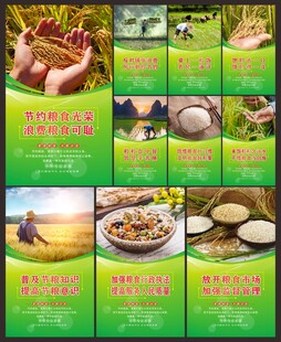 节约粮食