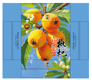白玉枇杷包装平面展开图