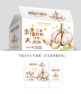大蒜头包装