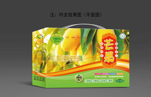 芒果包装