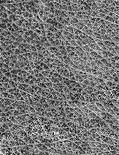 逆向UV逆向纹树皮纹