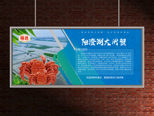阳澄湖大闸蟹养殖展板
