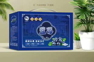 蓝莓包装