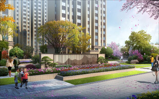 住宅绿化效果图