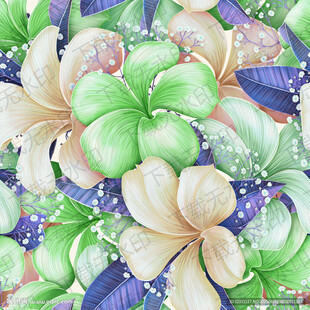 手绘花