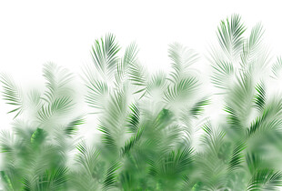 高清分层透明底绿植背景打印图