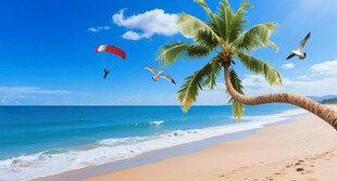 大海沙滩椰子树