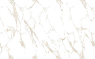 高清鱼肚金大理石