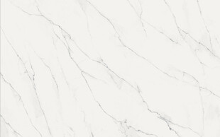 白色鱼肚白大理石