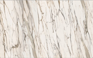 白色大花白大理石