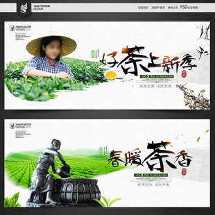 新茶上市