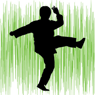 武术者的动感剪影