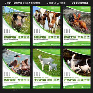 养殖业展板