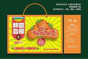 血橙礼盒包装插画设计
