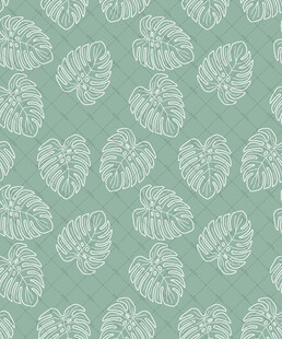 浅绿色龟背竹叶图案背景