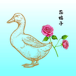 绣花鸭子与玫瑰