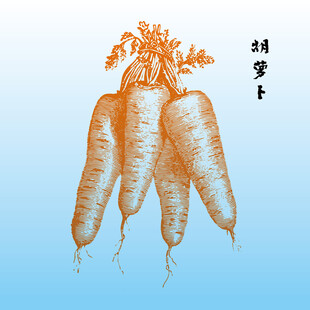 水墨风胡萝卜插画