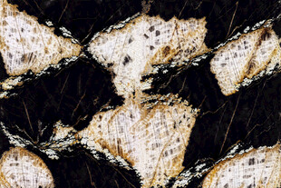 黑白大理石纹理图案