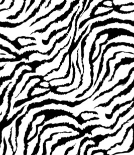 黑白斑马纹图案纹理