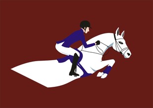 马术 骑马 矢量