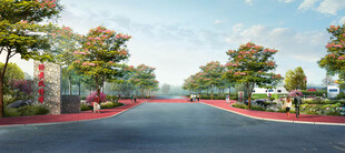 生态景观效果图