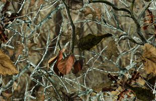 枯叶覆盖的地面纹理