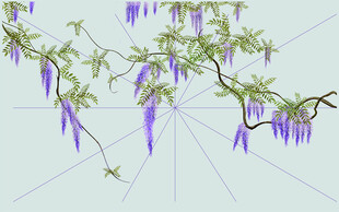 垂挂的紫色藤蔓花卉