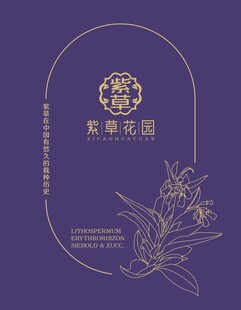 紫草手绘风格封面