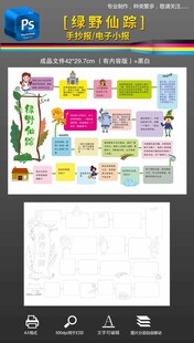 绿野仙踪思维导图