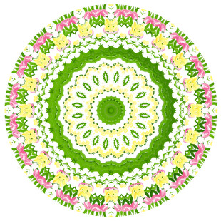 多彩圆形花卉曼陀罗图案
