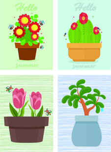 多彩盆栽花卉插画欣赏