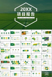 绿色农业产业总结计划ppt模板