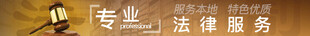 法律服务  法律宣传  