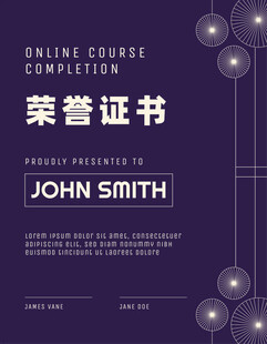 荣誉证书时尚竖版证书