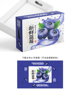 蓝莓包装