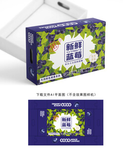 蓝莓包装