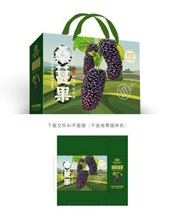 桑葚包装