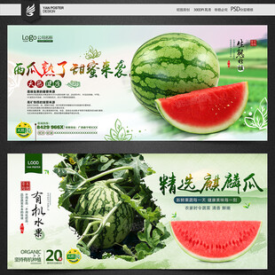 西瓜海报