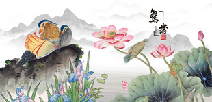 国画荷花鸳鸯