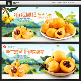 枇杷海报