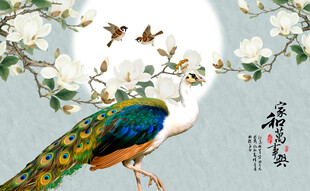 家和富贵轻奢玉兰花孔雀装饰画