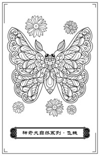 飞蛾花卉填色图案素材