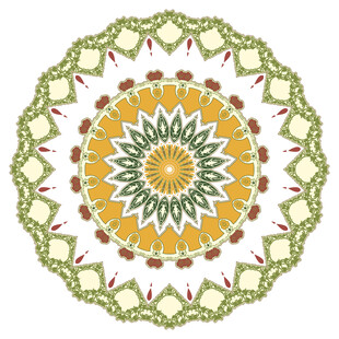 精美圆形花卉曼陀罗图案