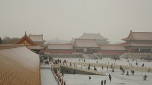 故宫全景 游客熙攘