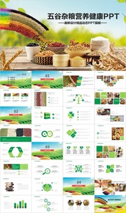 五谷杂粮健康养生文化粗粮PPT