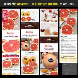 西柚美食展示与产品介绍