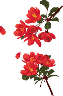 娇艳红海棠花枝绽放 矢量图