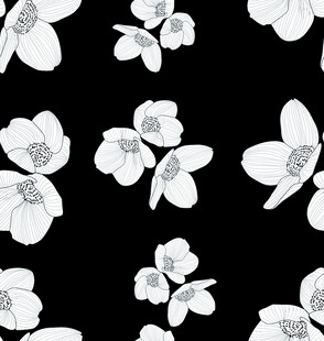 黑白花卉图案背景设计