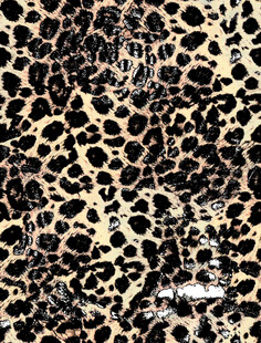 豹纹图案布料纹理展示